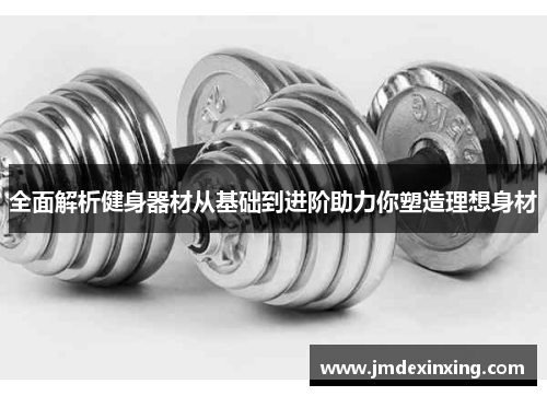 全面解析健身器材从基础到进阶助力你塑造理想身材