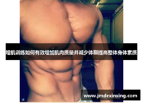 增肌训练如何有效增加肌肉质量并减少体脂提高整体身体素质