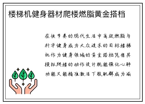 楼梯机健身器材爬楼燃脂黄金搭档
